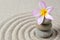 zen stones with frangipani flower with raked sand background