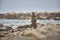 Zen symbol: stack of rocks on the beach