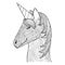Zen tangle and doodle unicorn. Zentangle animal. Zendoodle magic horse. Vector coloring book.