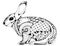 Zen tangle stylized rabbit.