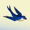 Zen Tangle swallow. Zentangle bird.