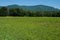 Zena Cornfield with Overlook Mountain in the Background