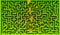 Zenithal view of a bush maze with people lost