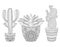 Zentangle Cactus set, vector illustration. Hand drawn outline de