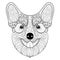Zentangle Dog face in monochrome doodle style. Hand drawn puppy, vector Pembroke Welsh Corgi head illustration for adult