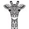 Zentangle giraffe isolated on withe background