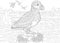 Zentangle puffin sea bird