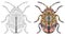 Zentangle stylized beetle. Hand drawn decorative vector illustration