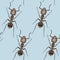 Zentangle stylized Brown Ant seamless pattern.