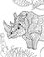 Zentangle stylized cartoon rhino rhinoceros , isolated on white background. Hand drawn sketch for adult antistress