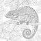 Zentangle stylized chameleon