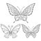 Zentangle stylized collection of three butterflies