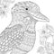 Zentangle stylized kookaburra bird