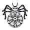 Zentangle stylized monochrome spider black and white