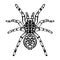 Zentangle stylized spider. Sketch for tattoo or t-shirt.