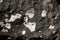 Zeolite minerals in a black basalt rock