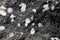 Zeolite minerals in a black basalt rock