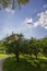 Zeppelin, airship flies over the  fruit farm in Baden-Baden