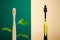 Zero waste, Eco-friendly creative concept. Wooden bamboo toothbrush with leaves VS plastic brush