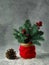 Zero waste style Christmas decoration with fir on grey background in a cup wrapped in knitten scarf.