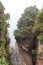 Zhangjiajie national park ( tian zhi shan ) ( Tianzi Mountain Nature Reserve ) and fog , China