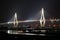 Zhanjiang Gulf Bridge at Night