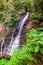 Zhenetskyi Huk waterfall in green forest. Carpathians, Ukraine