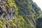 Zhuilu Cliff at Zhuilu Old Road in Taroko National Park, Xiulin, Hualien, Taiwan