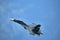 Zhukovsky, Moscow region, Russia - 07.23.2021: MAKS 2021 International Aviation and Space salon. SU-30 fighter flight