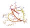 Ziconotide pain drug molecule. Synthetic form of omega conotoxin from cone snail