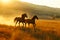 Zigzag Equine Elegance: A Play of Light and Shadow in Nature\\\'s Canvas.