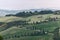 A zigzag of a rural road marked by sparse slender cypresses leads to a hilltop farm among meadows in Tuscany, Italy