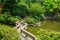 Zigzag stone pavement over verdant water