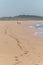 A zigzag track of footprints, two people next to the atlantic ocean, there is a hill and nature vegetation in the