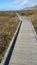 Zigzag Wooden Path -Giant Puffy White Clouds.