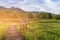 Zigzag wooden walking way over rice field