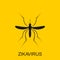 Zika mosquito vector. Virus alert. Aedes Aegypti on white background