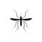 Zika mosquito . Zika virus alert. Zika virus concept. Zika virus mosquito bite. Mosquito logo. Aedes Aegypti isolated on
