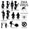 Zika virus infographic with pregnant woman.