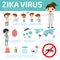 Zika virus infographic, Zika virus and dengue virus