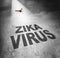 Zika Virus Risk