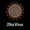 Zika virus structure. Zika virus infection. Sexually transmitted diseases. Infographics. Vector illustration on isolated