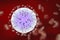 Zika viruses in blood