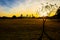 Zilker Park Austin Texas Skyline with sunrise sunbeams across the field