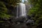 Zillie Falls streaming in the green wild wood, Queensland, Australia