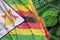 Zimbabwe flag and cryptocurrency falling trend with two bitcoins on dollar bills and binary code display