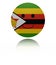 Zimbabwe happy icon with reflection illustration