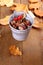 Zinc bucket full of chestnut, acorn and rosehip