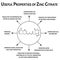 Zinc citrate useful properties molecular chemical formula. Zinc infographics. Vector illustration on isolated background