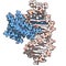 Zinc finger protein domain from histone-lysine N-methyltransferase A2. Zinc fingers are protein domains that bind to DNA.